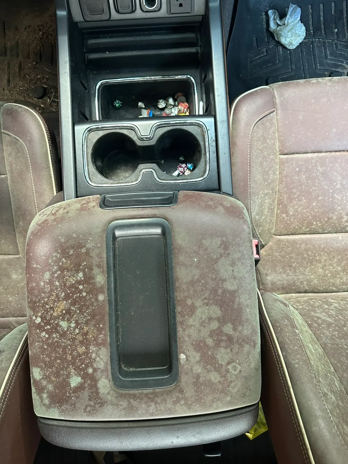 Mold removal: leather truck console, before