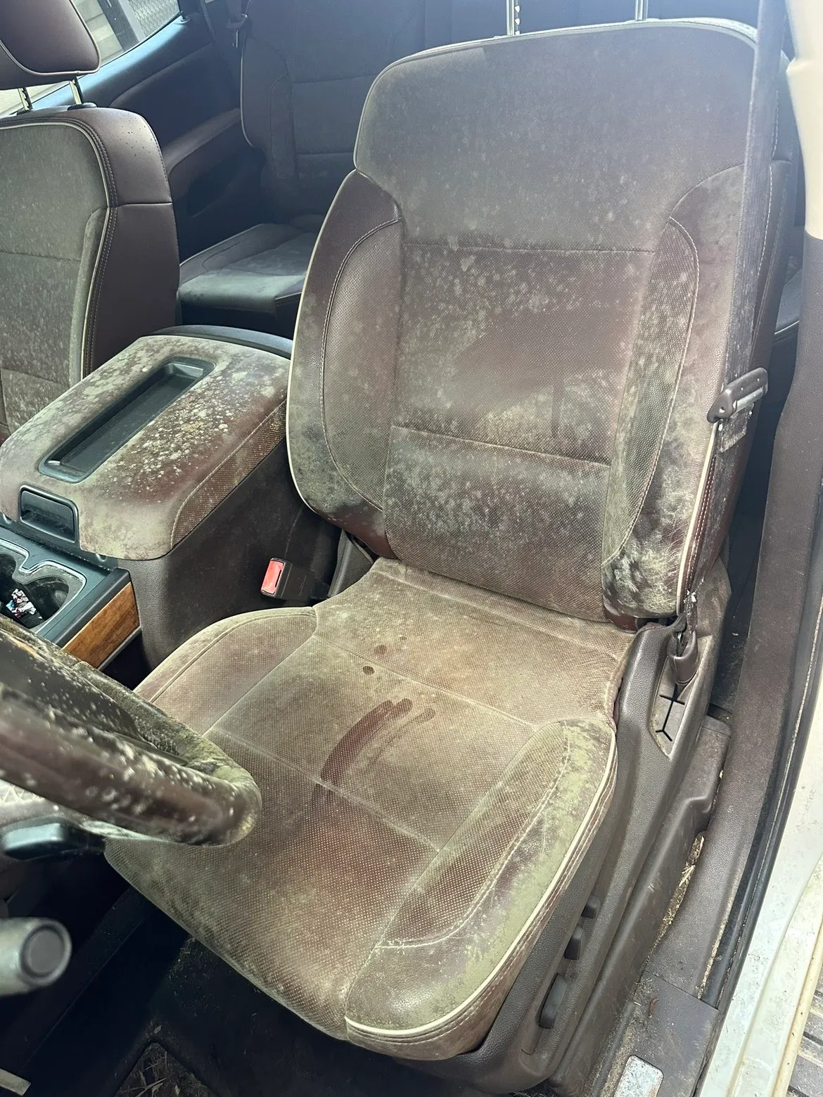 Mold removal: leather truck seats, before